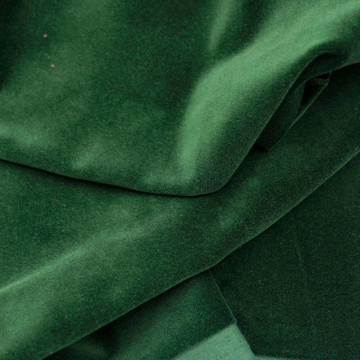 Holly Cotton Velveteen