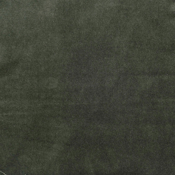 Laurel Cotton Velveteen