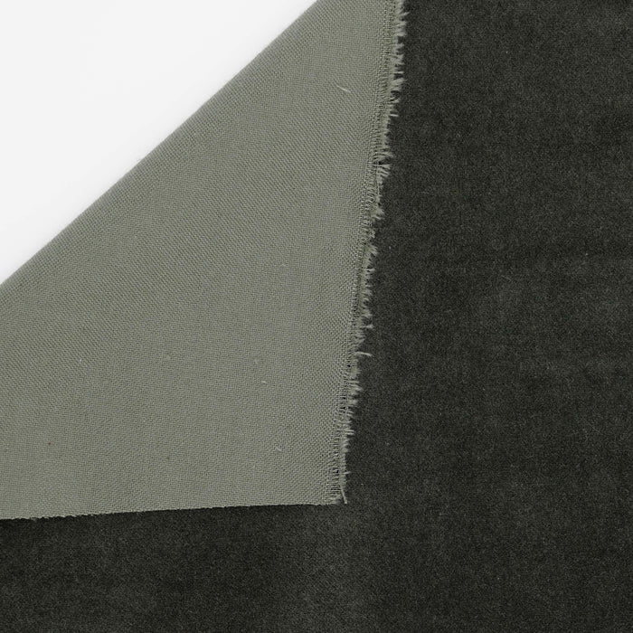 Laurel Cotton Velveteen